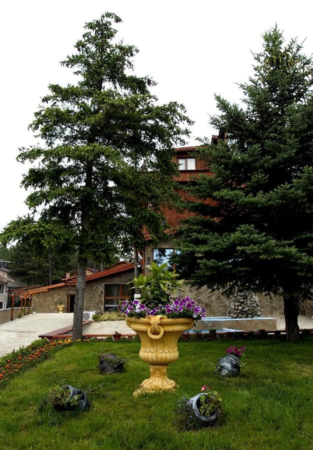 Хотел Галина Палас Srem Bagian luar foto